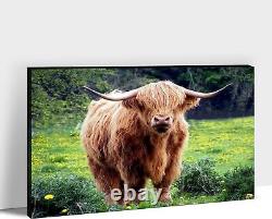Animals Canvas Wall Art Highland Cow on Green Grass Picture Home Office Deco
