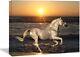 Animals Canvas Wall Art Horse Running on Beach Sunset Picture Home Office Deco