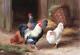 Art Wall Home Decor Chickens on The Farm Animal Oil Painting Printed On Canvas