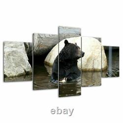 Black Bear in Water Wild Animals Canvas Prints Painting Wall Art Home Decor 5PCS