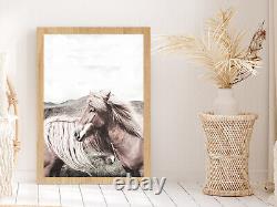Faded Horse Closeup Side View Photograph Glass Framed Wall Art, Ready to Hang