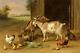 Gift Home Art Wall Decor Farm Chickens and Goats Oil Painting Printed On Canvas