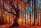 Living room Art wall Forest Decor Landscape Oil painting Picture Print on canvas
