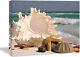 Ocean Canvas Wall Art Seashell Beach Picture Print Nature Paint Wall Deco Home