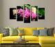 Orchids Flower Candle Spa Stones 5 Piece Canvas Print Wall Art Picture Home Deco